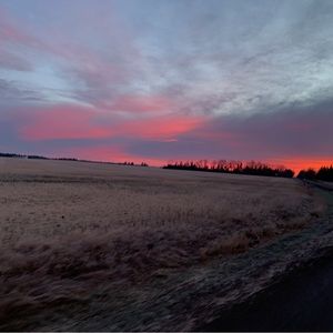 Meet your Posher, Emilie